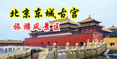 骚逼美女本日美国中国北京-东城古宫旅游风景区